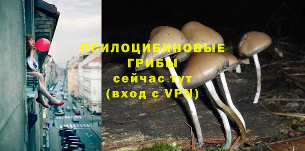 ПСИЛОЦИБИНОВЫЕ ГРИБЫ Лихославль
