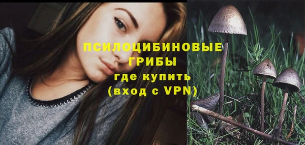 СК Лиски