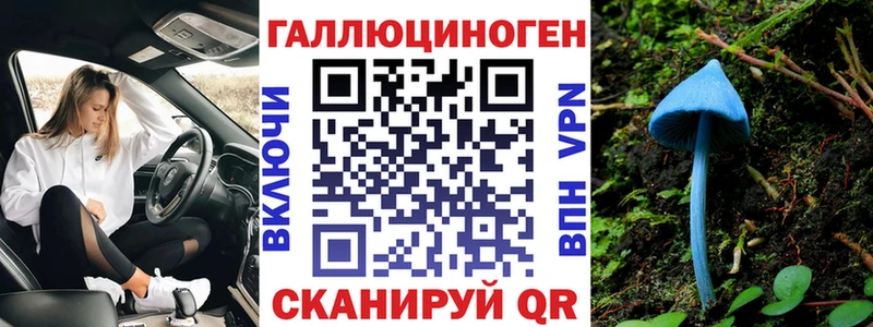закладка  кракен зеркало  Псилоцибиновые грибы Magic Shrooms  Новоульяновск 